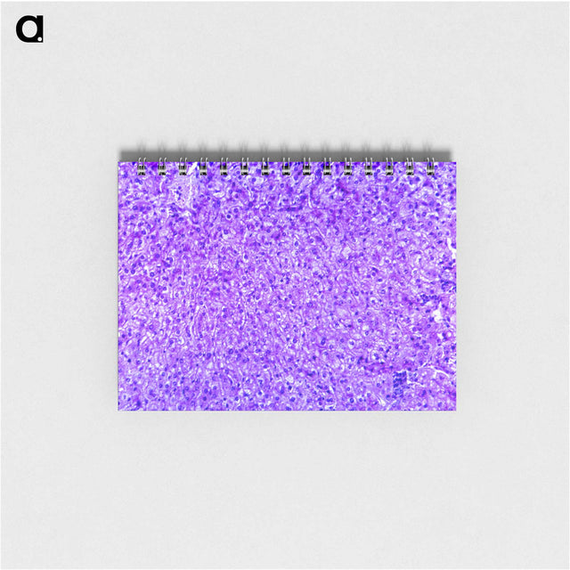 3-7_COVID-19_memo
