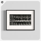 3-7_Eadweard-Muybridge_blk