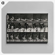 3-7_Eadweard-Muybridge_canvas