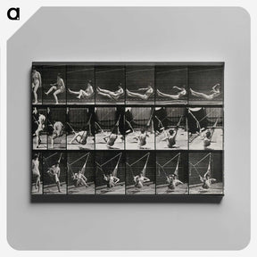 3-7_Eadweard-Muybridge_canvas