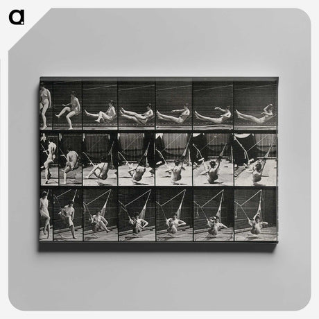 3-7_Eadweard-Muybridge_canvas