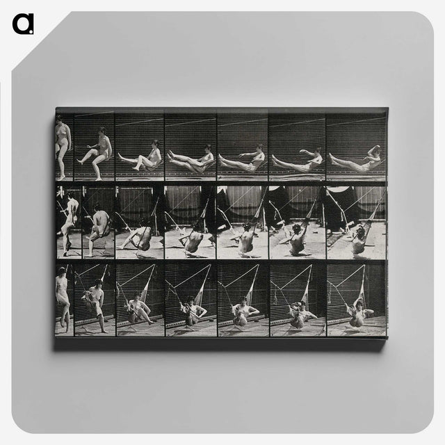 3-7_Eadweard-Muybridge_canvas