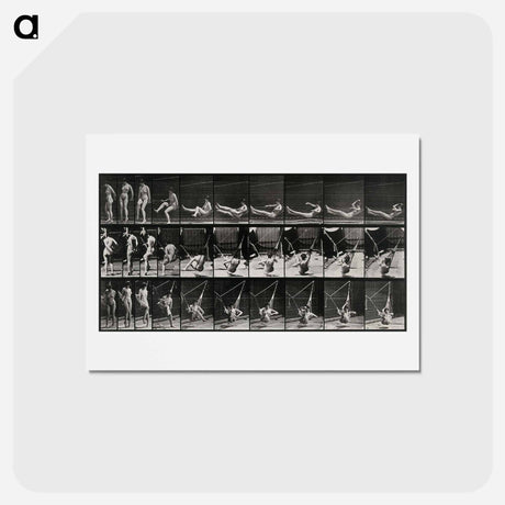 アートポストカード-Hammock Rest
 - エドワード マイブリッジ Postcard.