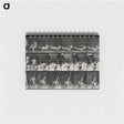 3-7_Eadweard-Muybridge_memo
