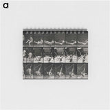 3-7_Eadweard-Muybridge_memo