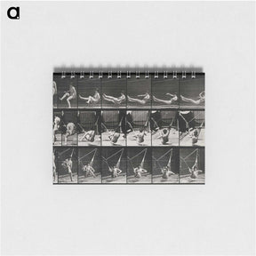 3-7_Eadweard-Muybridge_memo