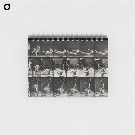 3-7_Eadweard-Muybridge_memo