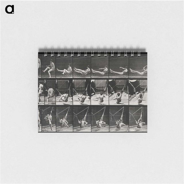 3-7_Eadweard-Muybridge_memo