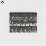 アートメモ帳-Hammock Rest
 - エドワード マイブリッジ Memo.