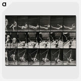 3-7_Eadweard-Muybridge_picture-crop