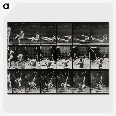3-7_Eadweard-Muybridge_picture-crop