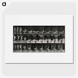 3-7_Eadweard-Muybridge_picture