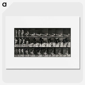 3-7_Eadweard-Muybridge_picture