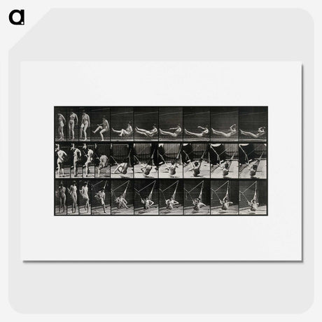 3-7_Eadweard-Muybridge_picture