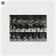 3-7_Eadweard-Muybridge_postcard