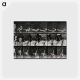アートポストカード-Hammock Rest
 - エドワード マイブリッジ Postcard.