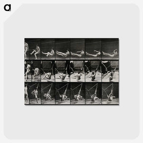 3-7_Eadweard-Muybridge_postcard