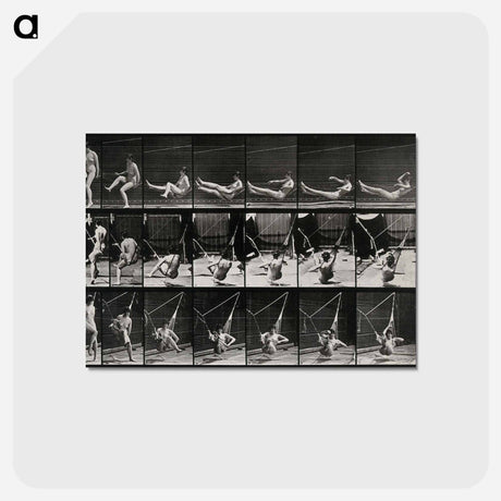 アートポストカード-Hammock Rest
 - エドワード マイブリッジ Postcard.