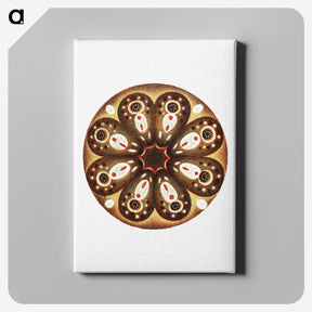 3-7_Ernst-Haeckel_canvas