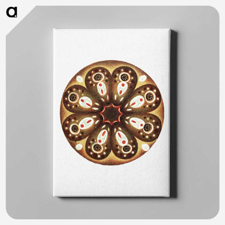 3-7_Ernst-Haeckel_canvas