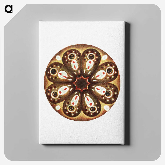 3-7_Ernst-Haeckel_canvas