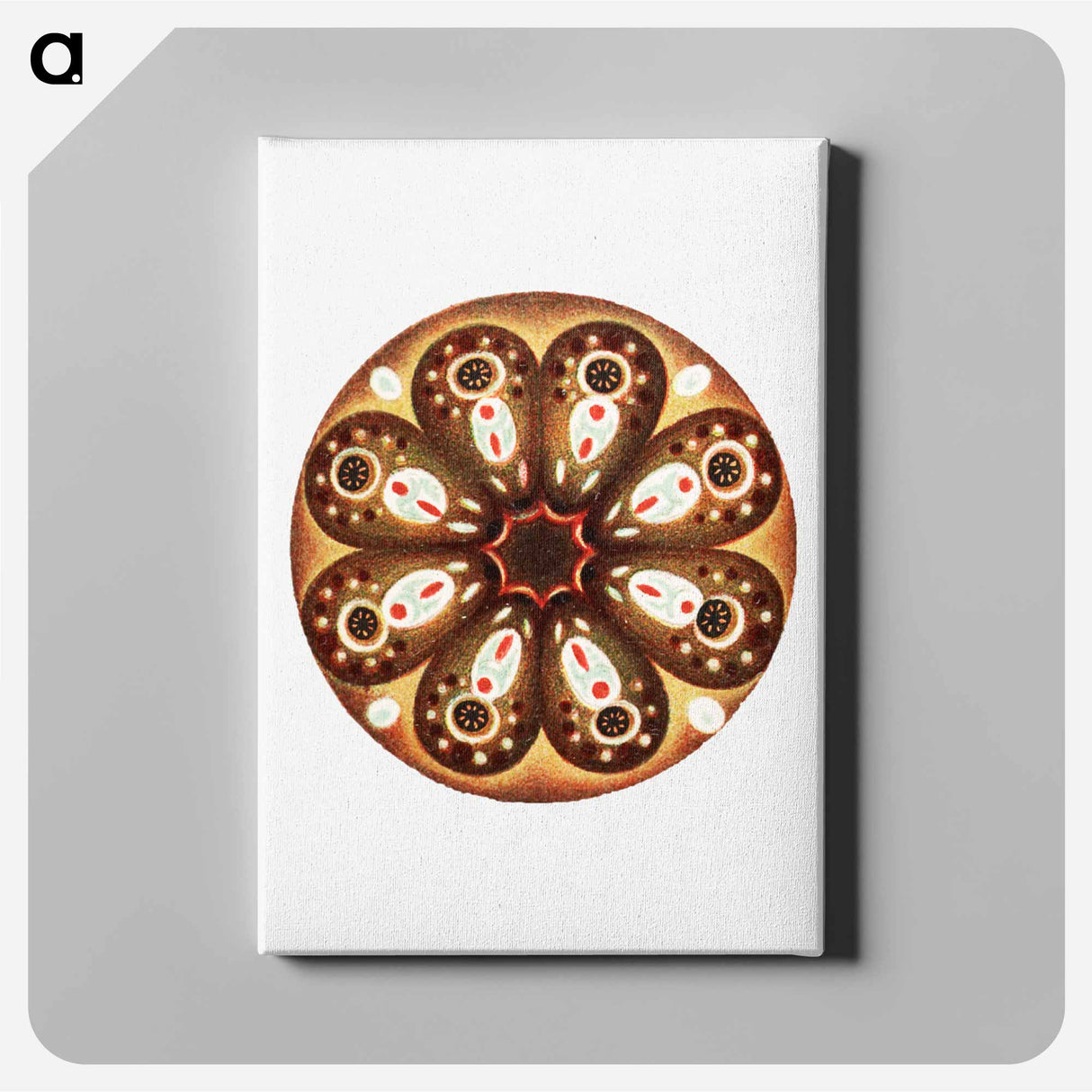 Colorful vintage tunicate illustration - エルンスト ヘッケル Canvas.
