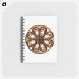 3-7_Ernst-Haeckel_memo