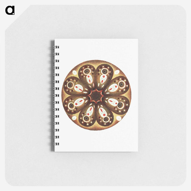 3-7_Ernst-Haeckel_memo