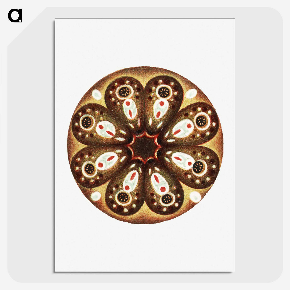 3-7_Ernst-Haeckel_picture-crop