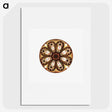 3-7_Ernst-Haeckel_picture