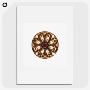 3-7_Ernst-Haeckel_picture