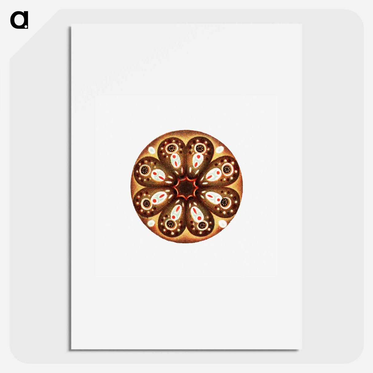 Colorful vintage tunicate illustration - エルンスト ヘッケル Poster.