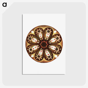 3-7_Ernst-Haeckel_postcard