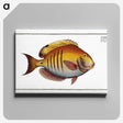 3-7_Ichtyologie-ou-Histoire-naturelle_canvas