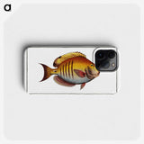3-7_Ichtyologie-ou-Histoire-naturelle_phone