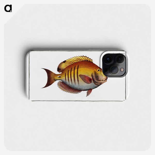 3-7_Ichtyologie-ou-Histoire-naturelle_phone