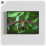 3-7_Insects-Unlocked-Project_blk-crop