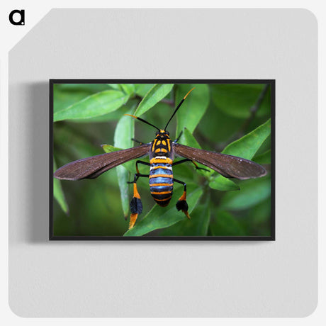 3-7_Insects-Unlocked-Project_blk-crop