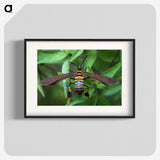 3-7_Insects-Unlocked-Project_blk