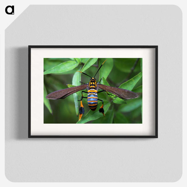 3-7_Insects-Unlocked-Project_blk