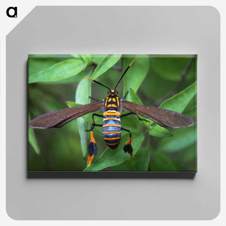 3-7_Insects-Unlocked-Project_canvas