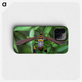 3-7_Insects-Unlocked-Project_phone