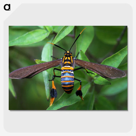 3-7_Insects-Unlocked-Project_picture-crop
