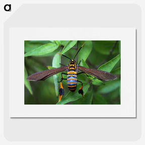 3-7_Insects-Unlocked-Project_picture