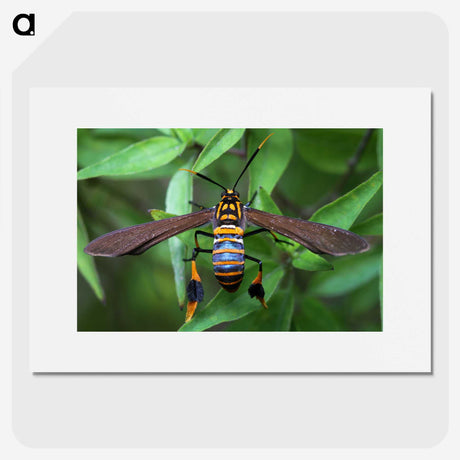 3-7_Insects-Unlocked-Project_picture