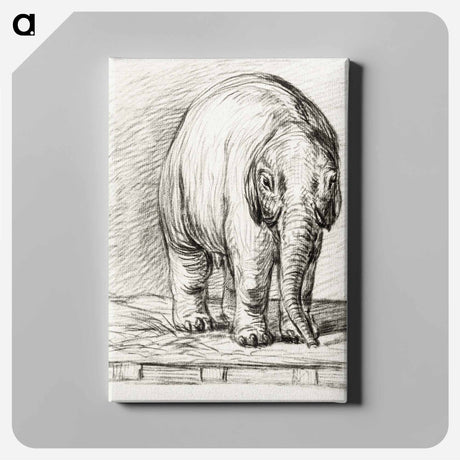 アートパネル-Standing elephant - ジャン ベルナール Canvas.