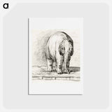 アートポストカード-Standing elephant - ジャン ベルナール Postcard.