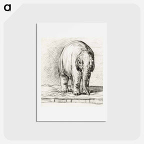アートポストカード-Standing elephant - ジャン ベルナール Postcard.