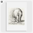 3-7_Jean-Bernard_picture