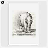 3-7_Jean-Bernard_picture